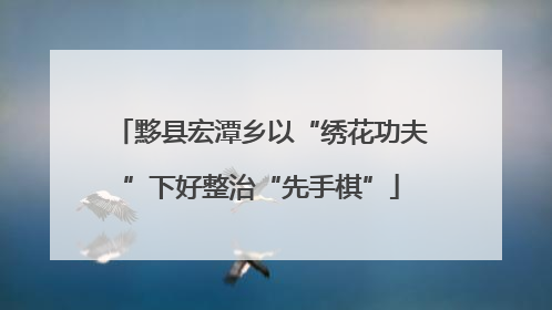 黟县宏潭乡以“绣花功夫”下好整治“先手棋”